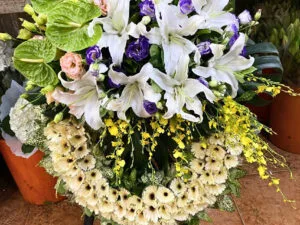 矮腳花圈A1