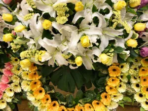 矮腳花圈B2